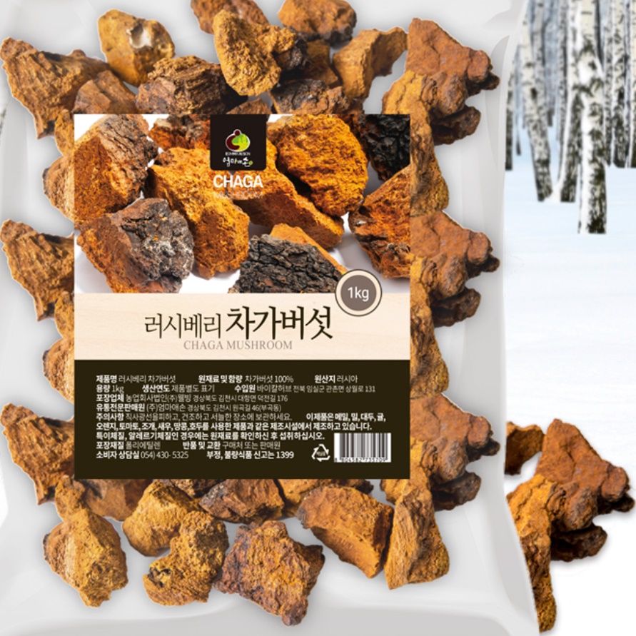 러시아 차가버섯 러시아산 차가버섯 1kg 추출물 원물 건재