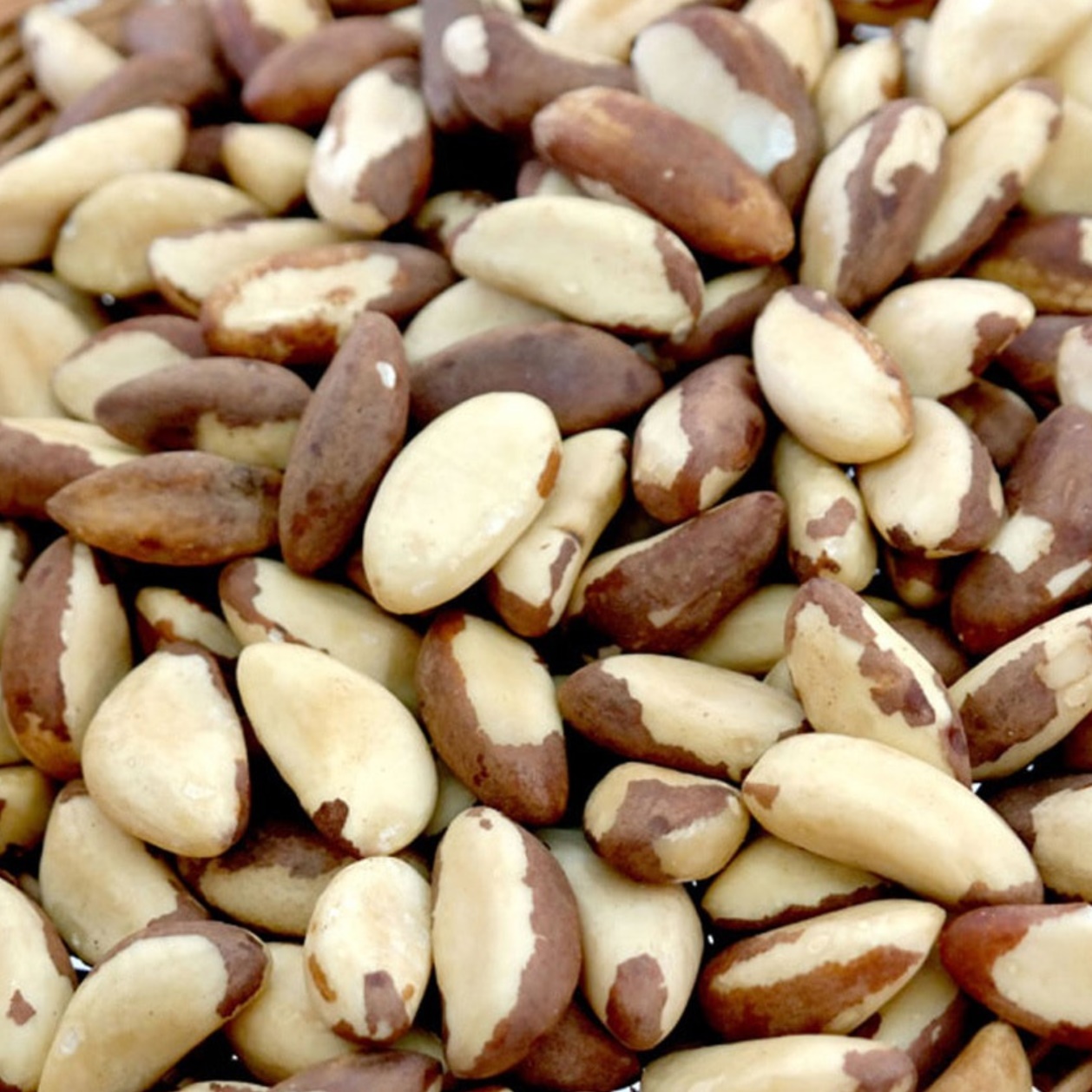 페루산 브라질너트 1KG 브라질넛 넛츠 효능 먹는법 - 상품 이미지