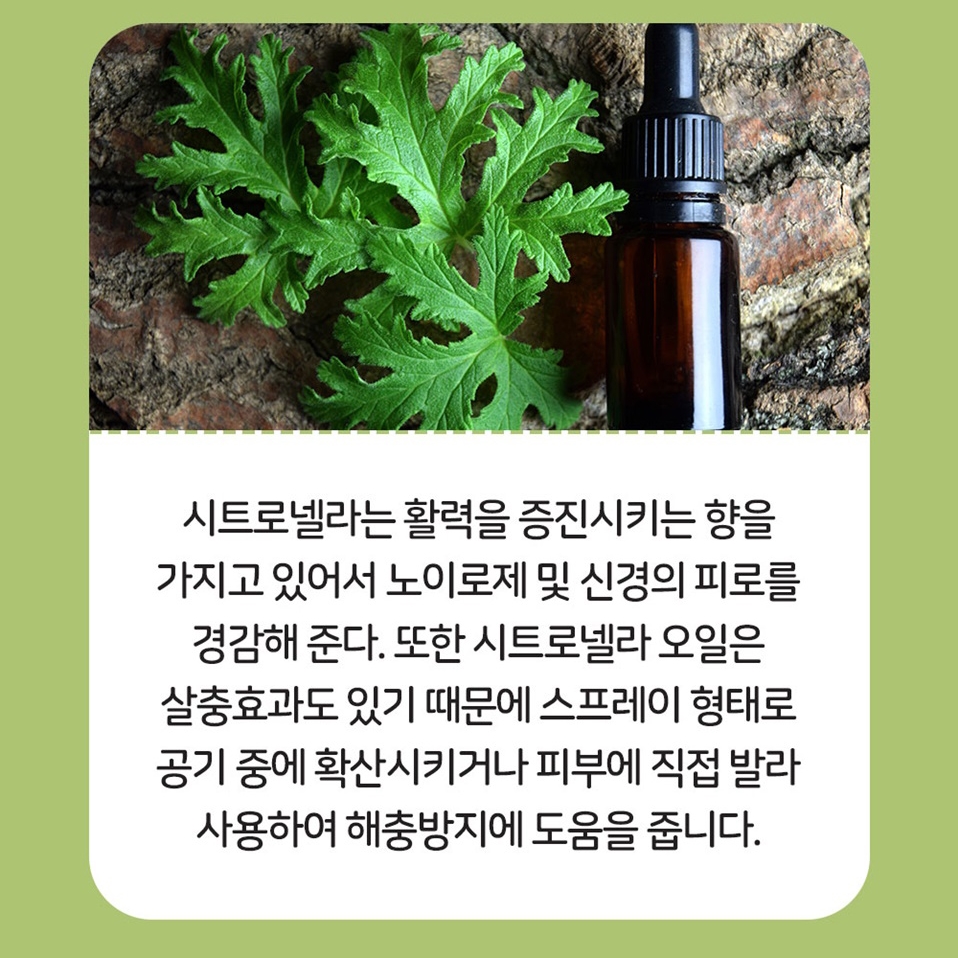 아인솝 강아지 진드기 벌레 퇴치제 기피제 방지 제거 진드기약 스프레이 노벅미스트 150ml 이미지 8