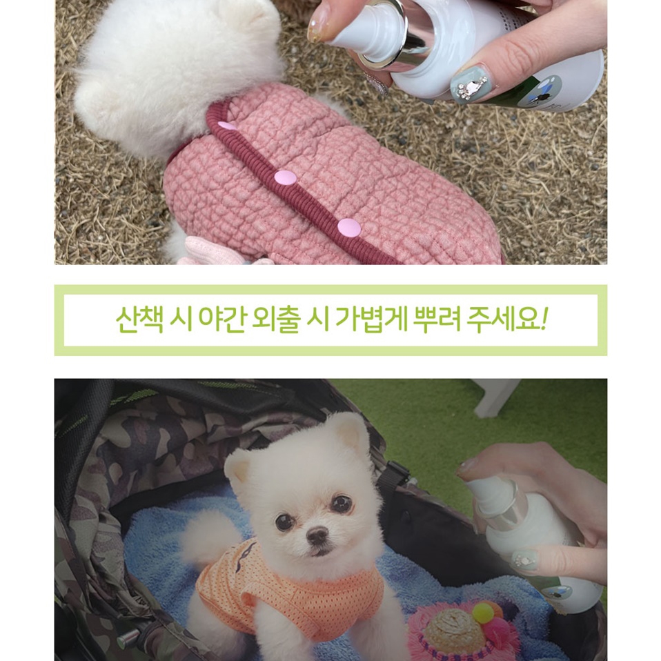 아인솝 강아지 진드기 벌레 퇴치제 기피제 방지 제거 진드기약 스프레이 노벅미스트 150ml 이미지 6
