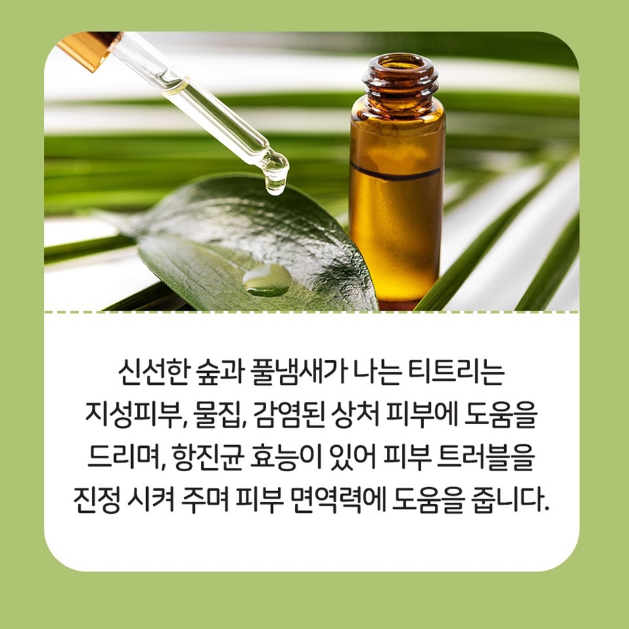 아인솝 강아지 진드기 벌레 퇴치제 기피제 방지 제거 진드기약 스프레이 노벅미스트 150ml 이미지 7