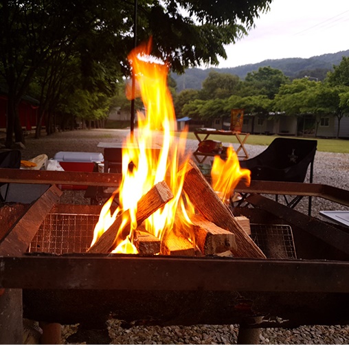 자작나무 캠핑용 장작 캠프 파이어 장작 벽난로 장작