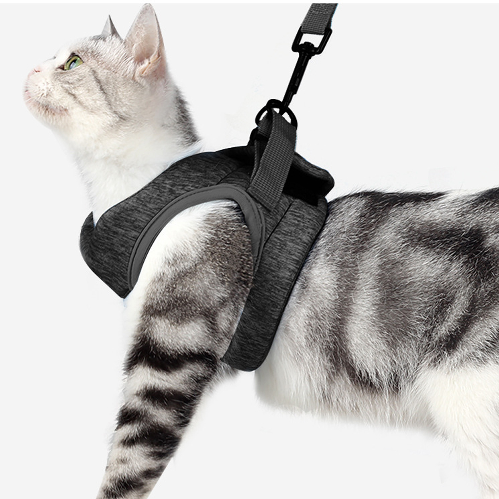 고양이하네스 가슴줄 리드줄 세트 고양이목줄 H형 조끼형 S