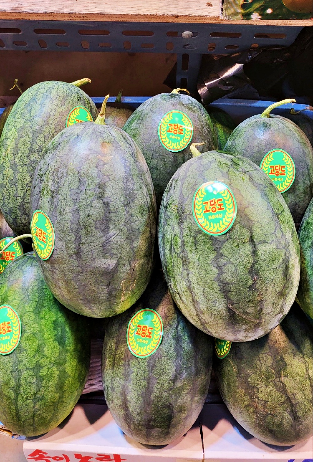 노란수박 블랙망고수박 2kg 3kg 4kg 5kg 6kg 1통 2통 국내산 제주 - 상세 이미지 5