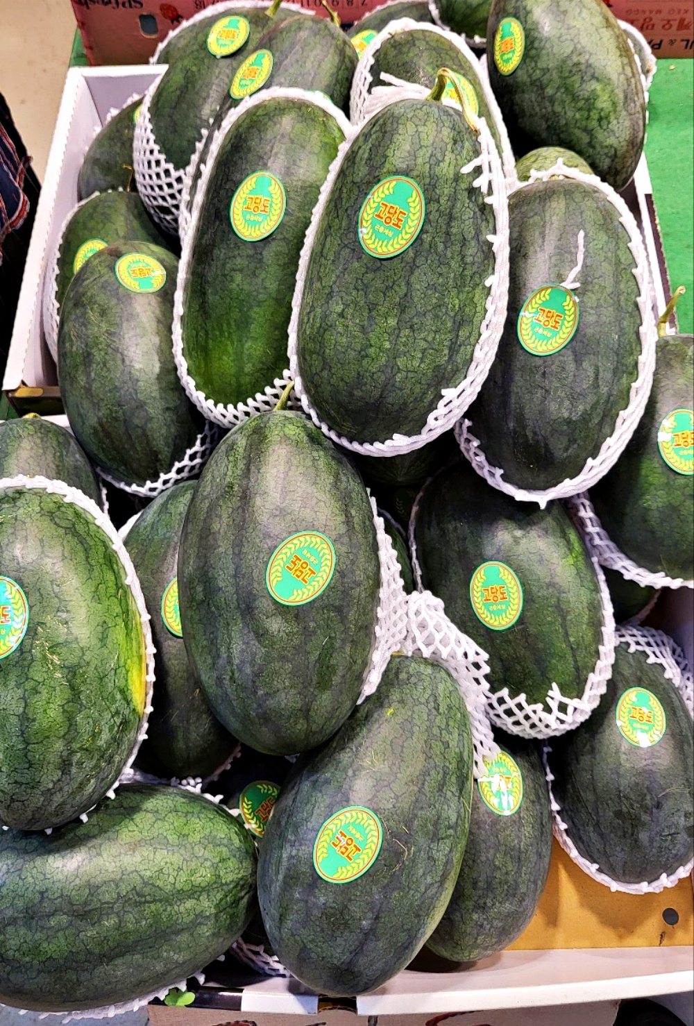 노란수박 블랙망고수박 2kg 3kg 4kg 5kg 6kg 1통 2통 국내산 제주 이미지 6