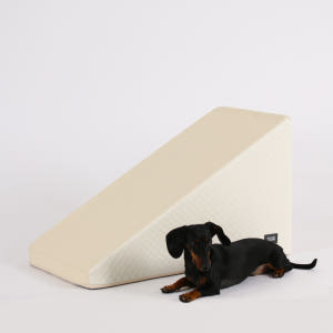 초코펫하우스 강아지계단 슬라이드 논슬립스텝3.0 프리미엄형 솔직 후기 | 실제 사용자 리뷰 총정리 - 상품 이미지 2