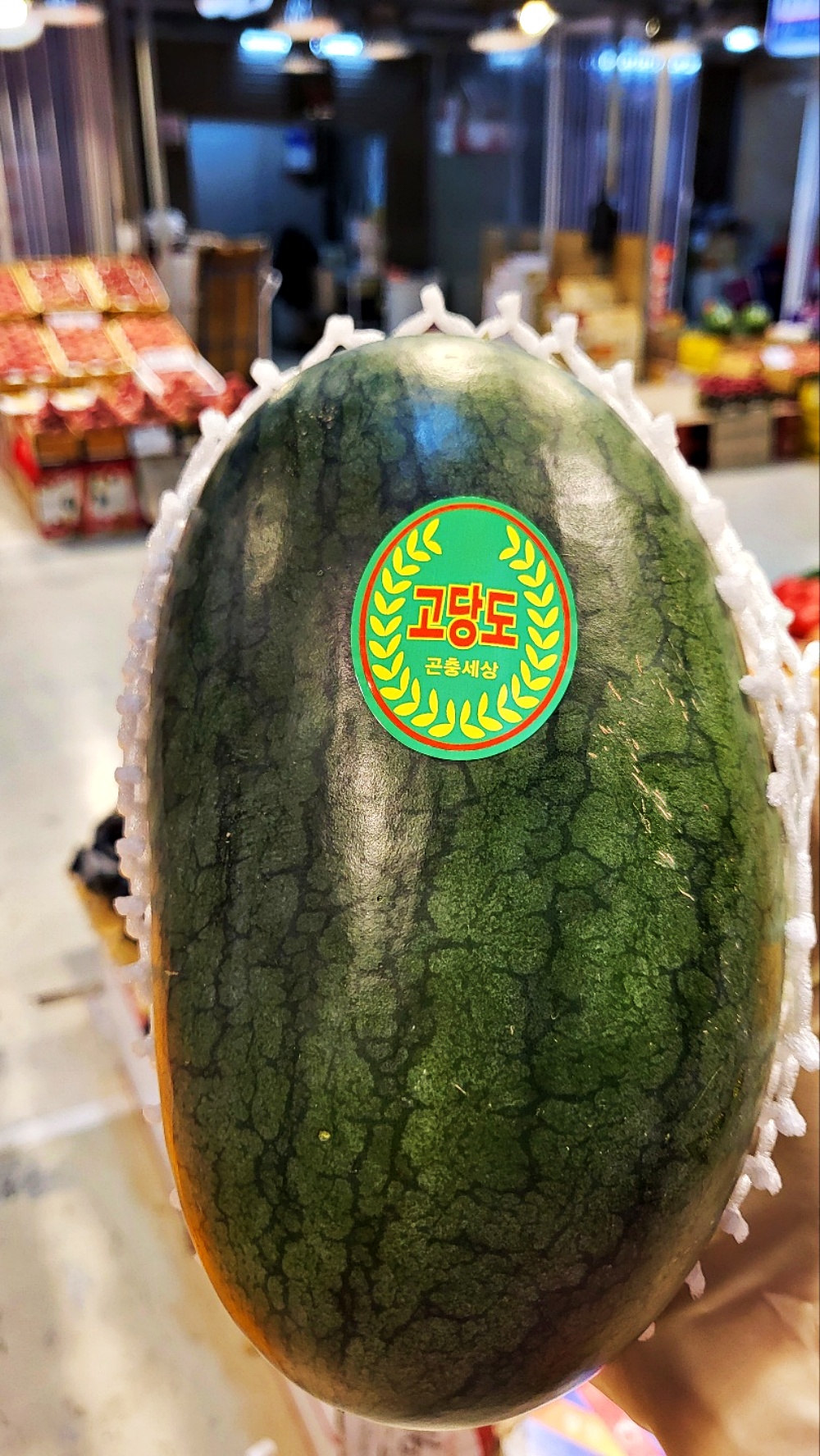 노란수박 블랙망고수박 2kg 3kg 4kg 5kg 6kg 1통 2통 국내산 제주 - 상세 이미지 4