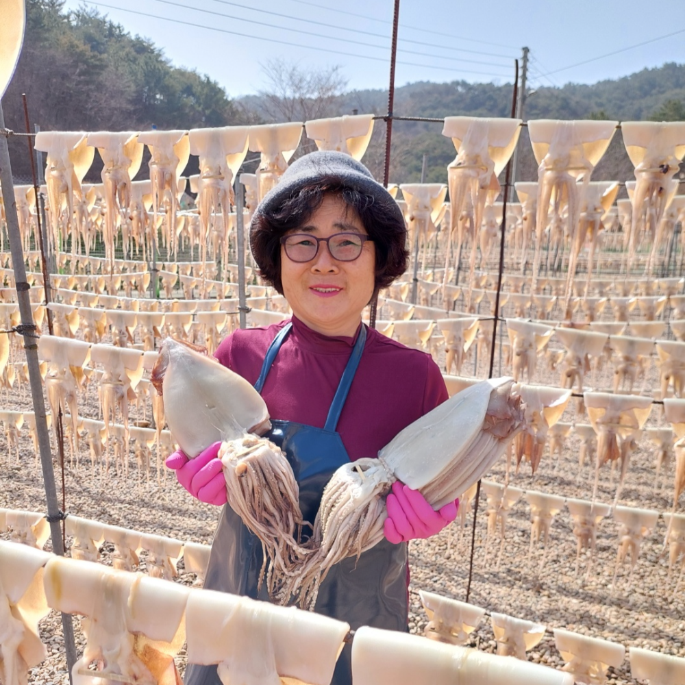 오징어엄마 반건조오징어 마른 피데기 반건오징어 중 10미 파품 파지