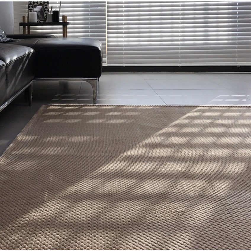 거실 패드 북유럽 카페트 고급 바닥 겨울 모던 카페트