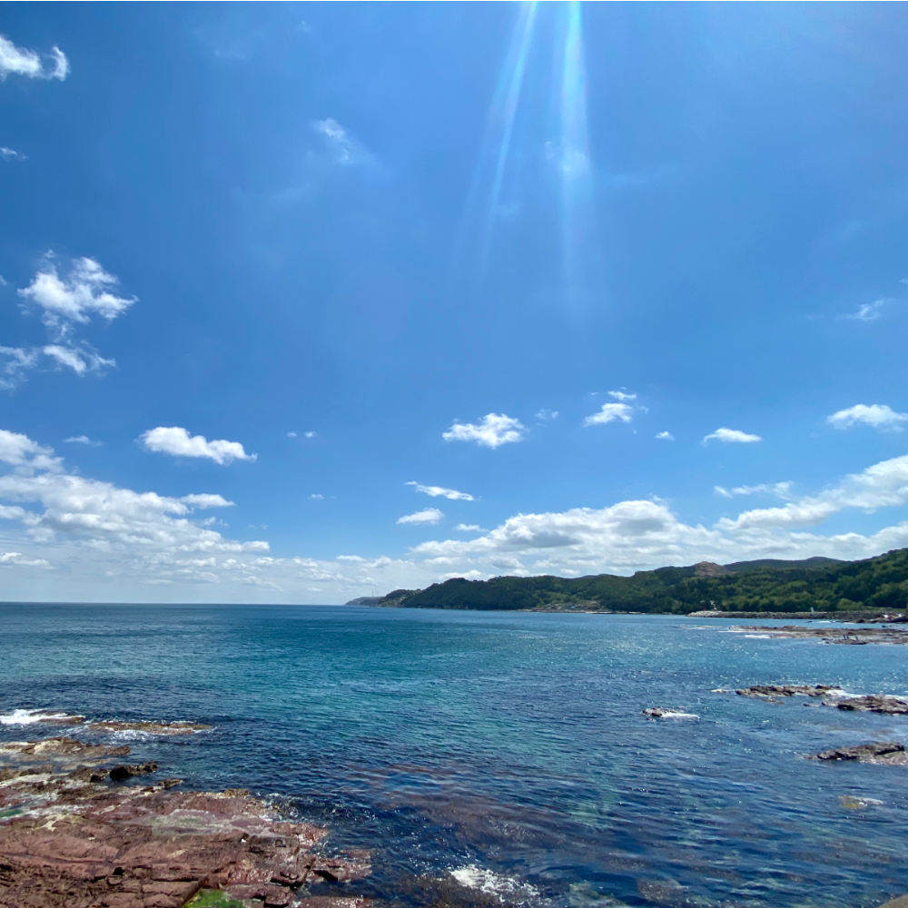 오징어엄마 반건조오징어 마른 피데기 반건오징어 중 10미 파품 파지