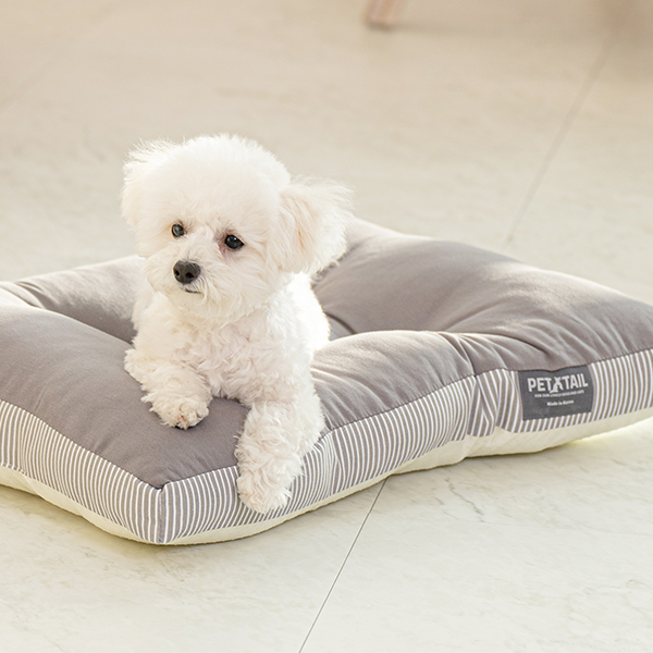 펫테일 올독방석 강아지 방석 대형견 쿠션 극세사 면 M