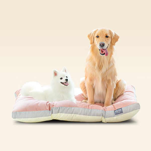 펫테일 올독방석 강아지 방석 대형견 쿠션 극세사 면 M