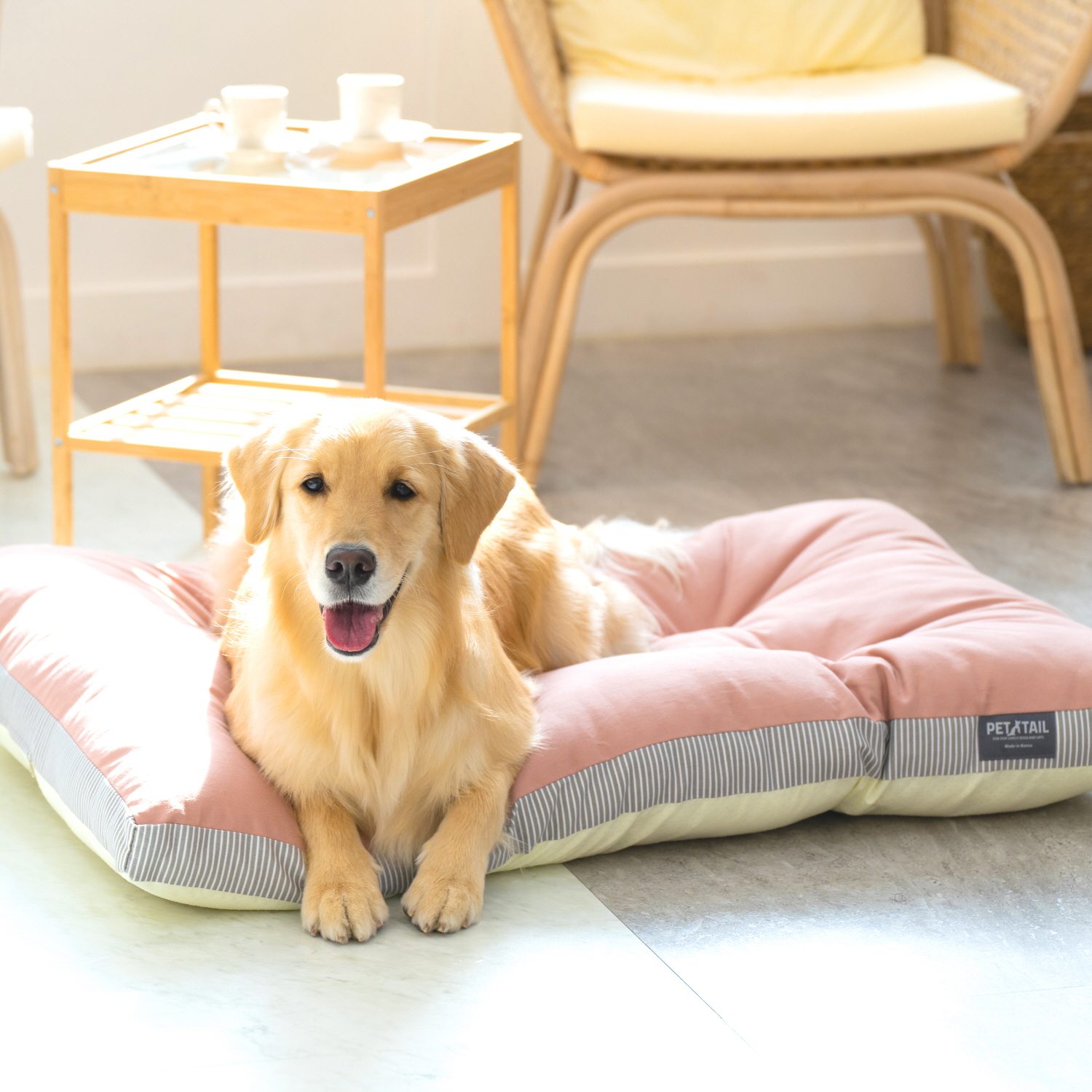 펫테일 올독방석 강아지 방석 대형견 쿠션 극세사 면 M