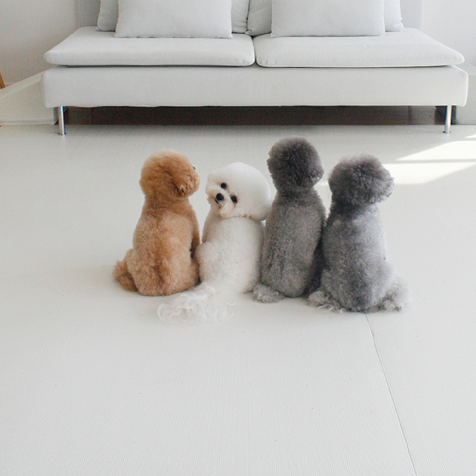 개 매트 반려견 카페트 롤매트 강아지 미끄럼방지 장판