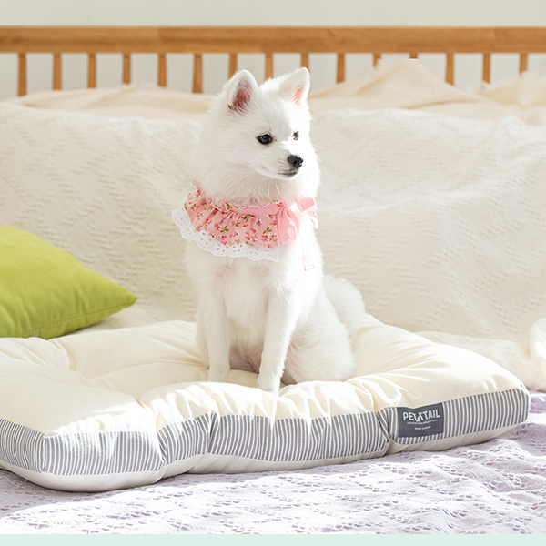 펫테일 올독방석 강아지 방석 대형견 쿠션 극세사 면 M