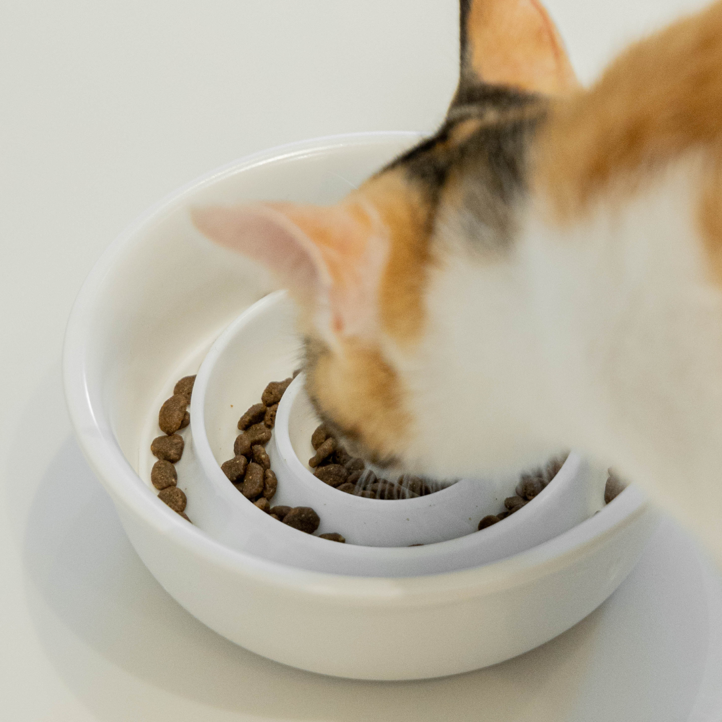 국내 제작 강아지 고양이 급체방지 슬로우 식기 흡착 실리콘 그릇 슬로우 패드 (별도 구매)