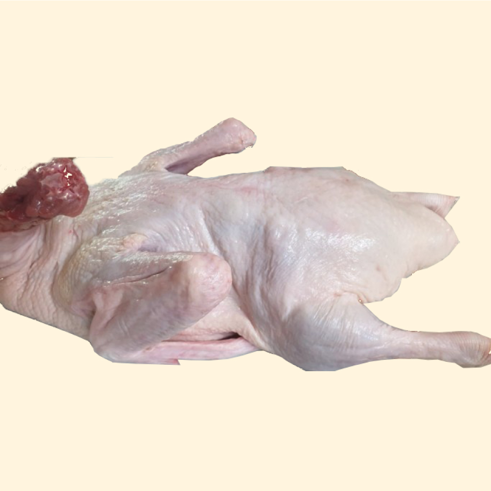 통오리 2.4kg 급냉제품 국내산 오리 요리 유황 슬라이스 생 로스 : 도매24시