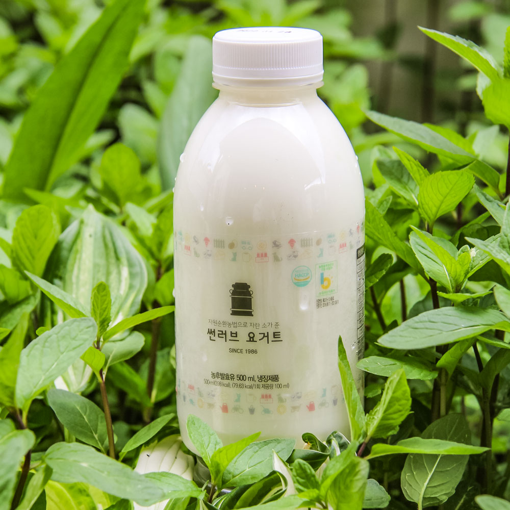 효덕목장 플레인 요거트 농후발효유 무가당 요거트 180ml 10병 둘러앉은밥상 - 상품 이미지