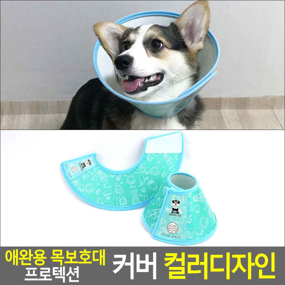플라스틱넥카라 강아지깔대기 중성화 수술 넥카라