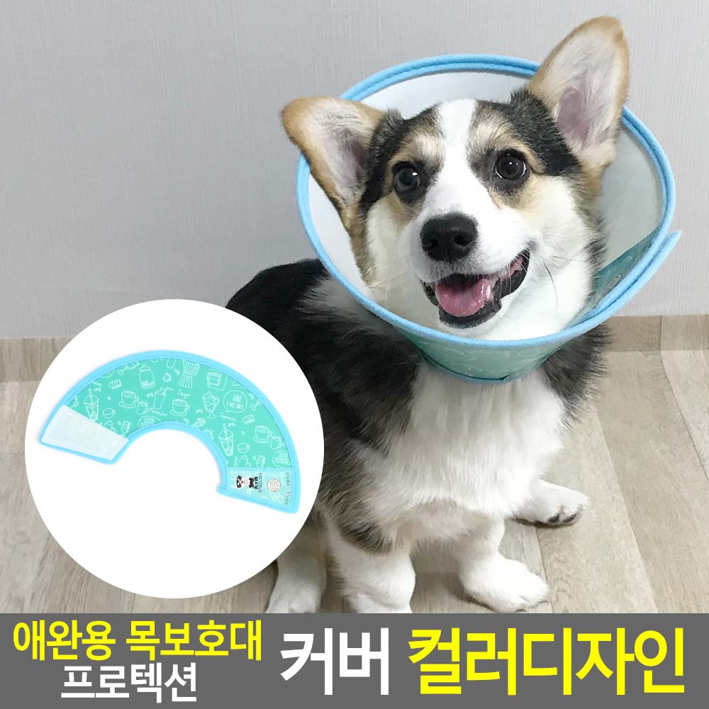 플라스틱넥카라 강아지깔대기 중성화 수술 넥카라