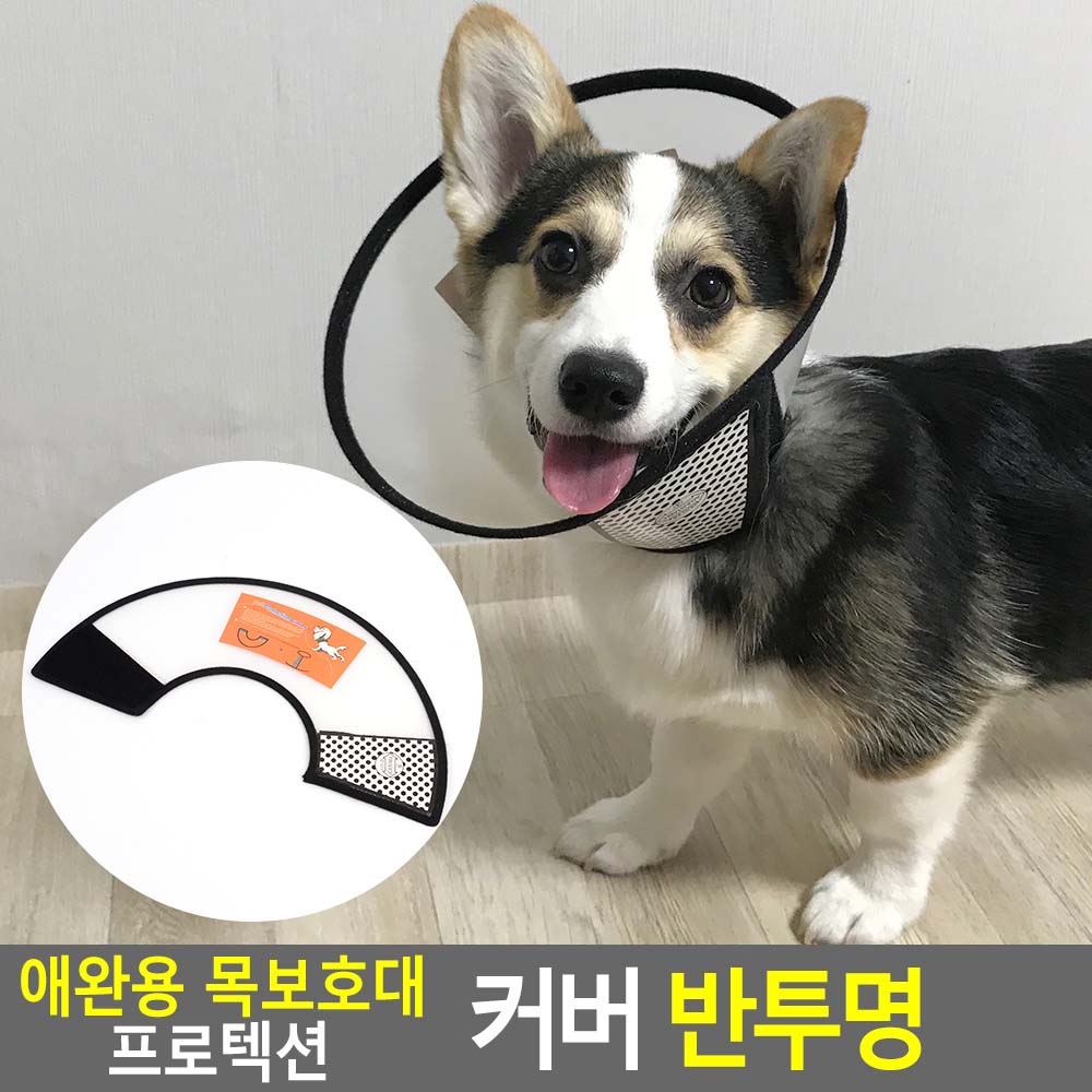 플라스틱넥카라 중성화넥카라 강아지 고양이 깔대기 - 상세 이미지 3
