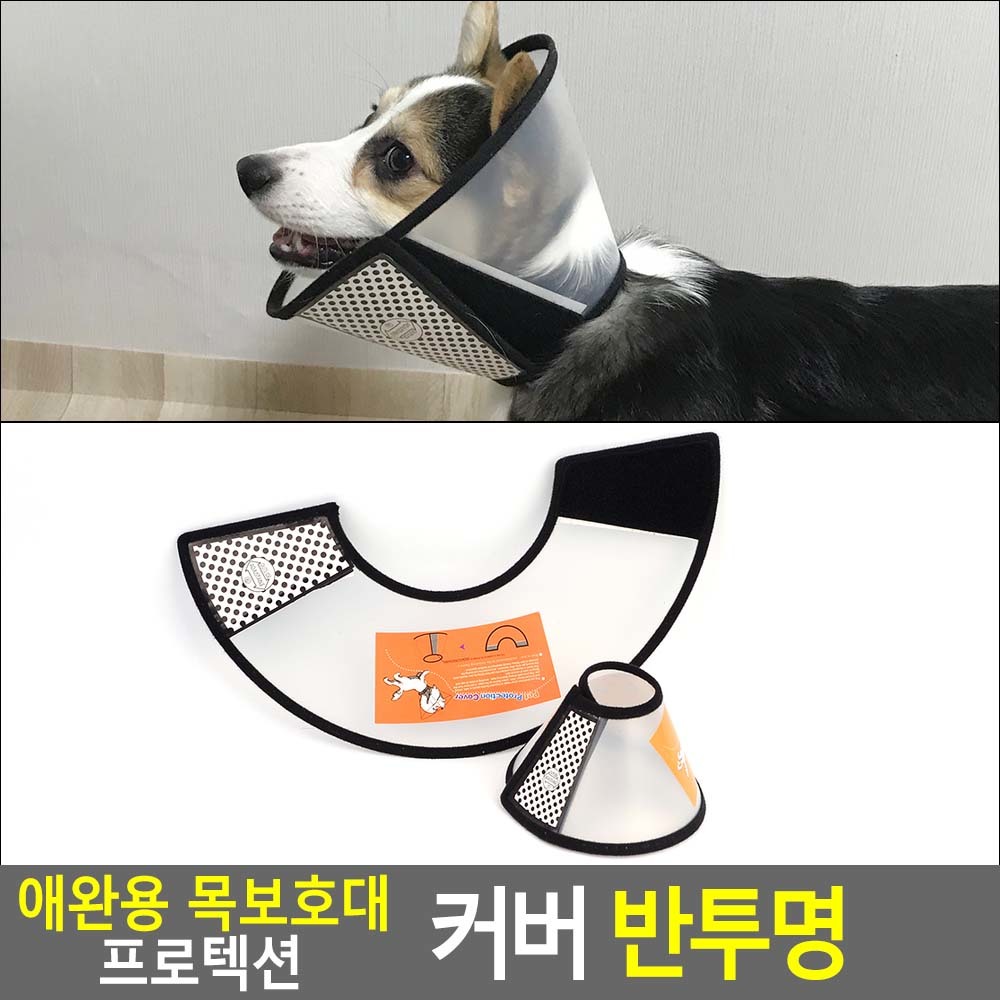 플라스틱넥카라 중성화넥카라 강아지 고양이 깔대기 - 상세 이미지 4