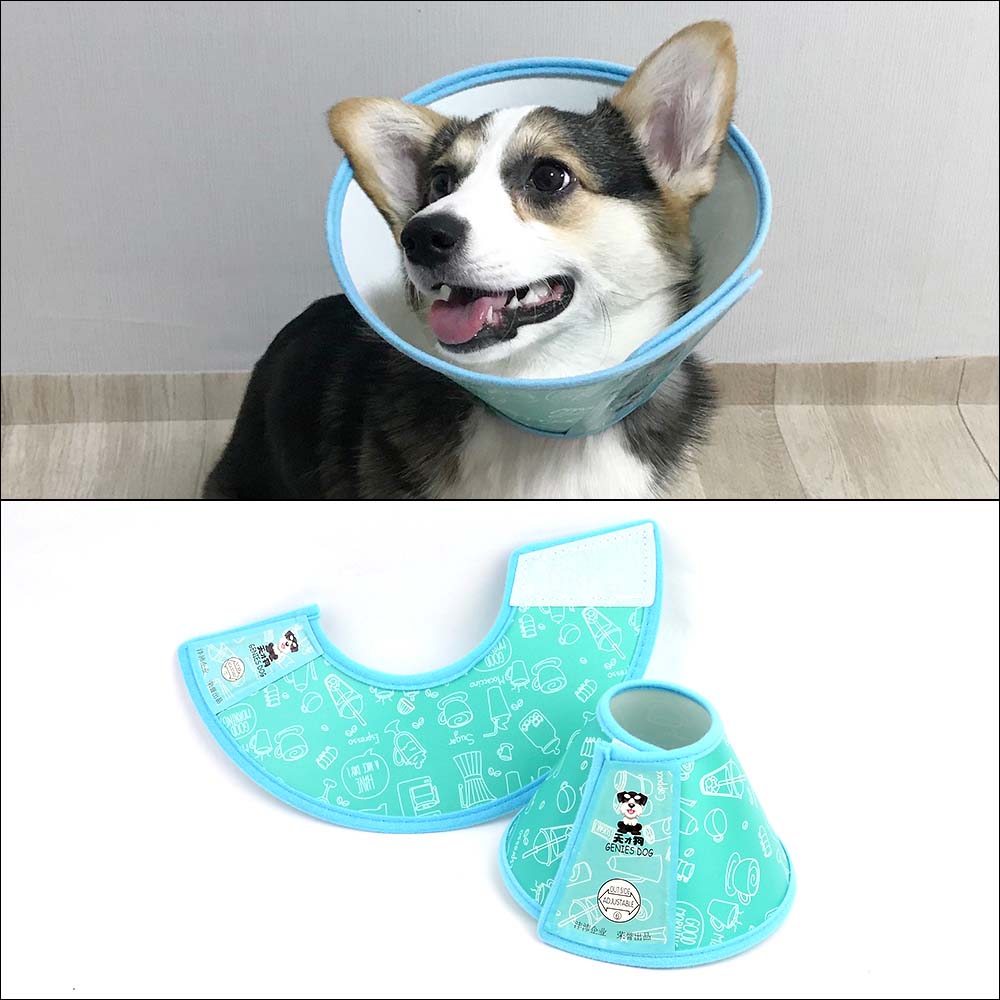 플라스틱넥카라 강아지깔대기 중성화 수술 넥카라