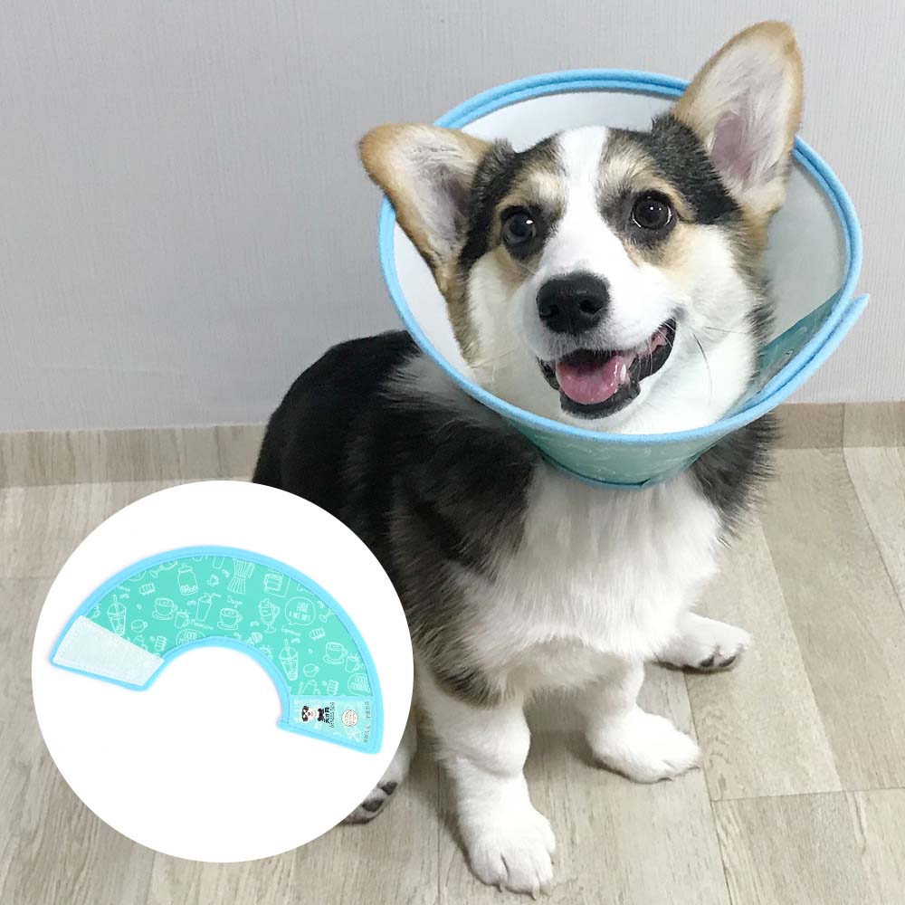 플라스틱넥카라 강아지깔대기 중성화 수술 넥카라