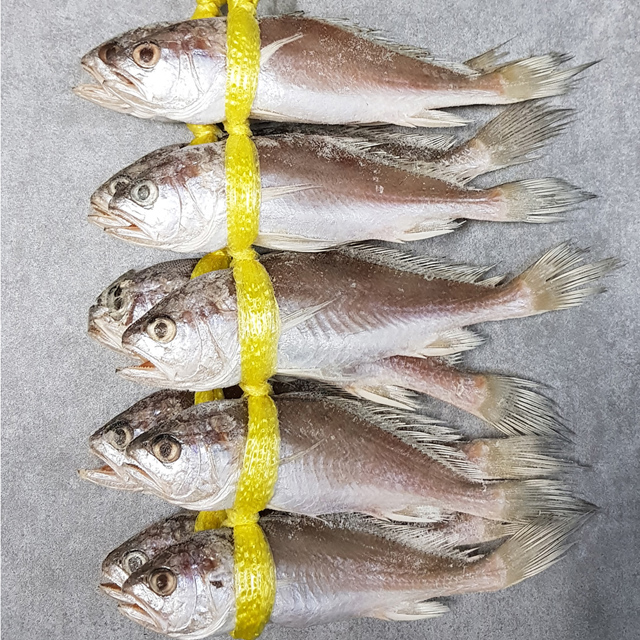 침굴비 21cm 23cm 24cm전후 10마리 역거리 침조기 - 상세 이미지 4