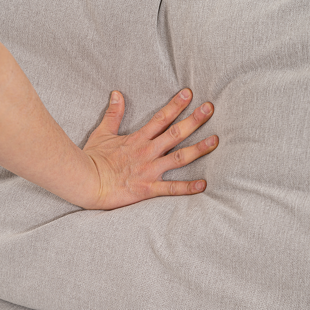 [패브릭소파] 감탄 구스 이지클린패브릭 쇼파 (100%구스,세탁가능)Ph.10 모듈소파