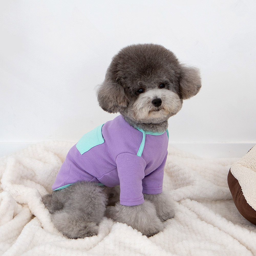 강아지옷 강아지 겨울옷 실내복 티셔츠 유니콘