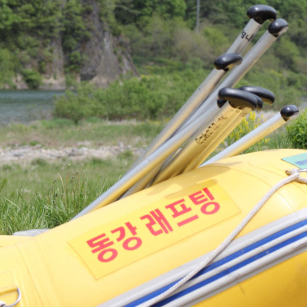 동강래프팅 급류체험 어라연코스 가격 비교 동강래프팅 동강래프팅 급류체험 어라연코스