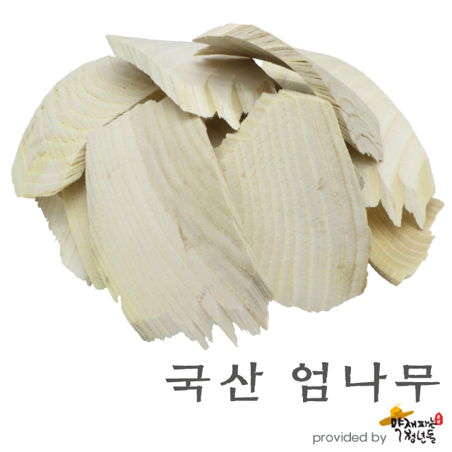 국산 엄나무편 600g 한방재료 삼계탕 약재 육수용 건재료 - 상품 이미지