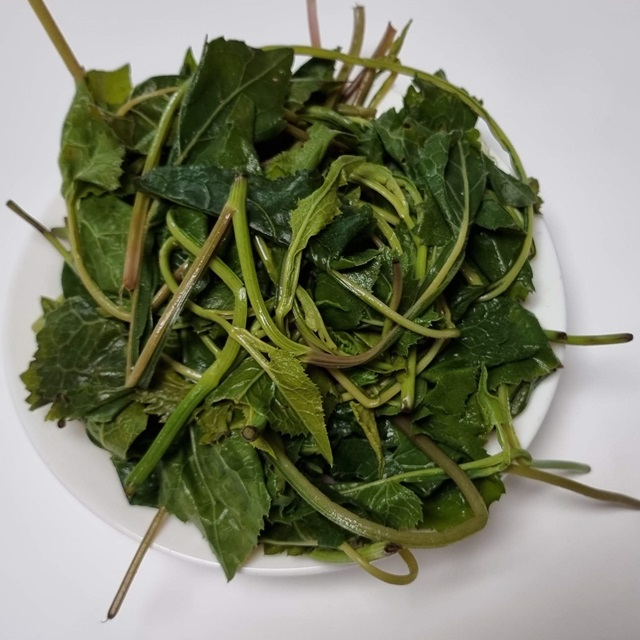 자연산 유기농 산취나물 삶은나물  1kg - 상세 이미지 2