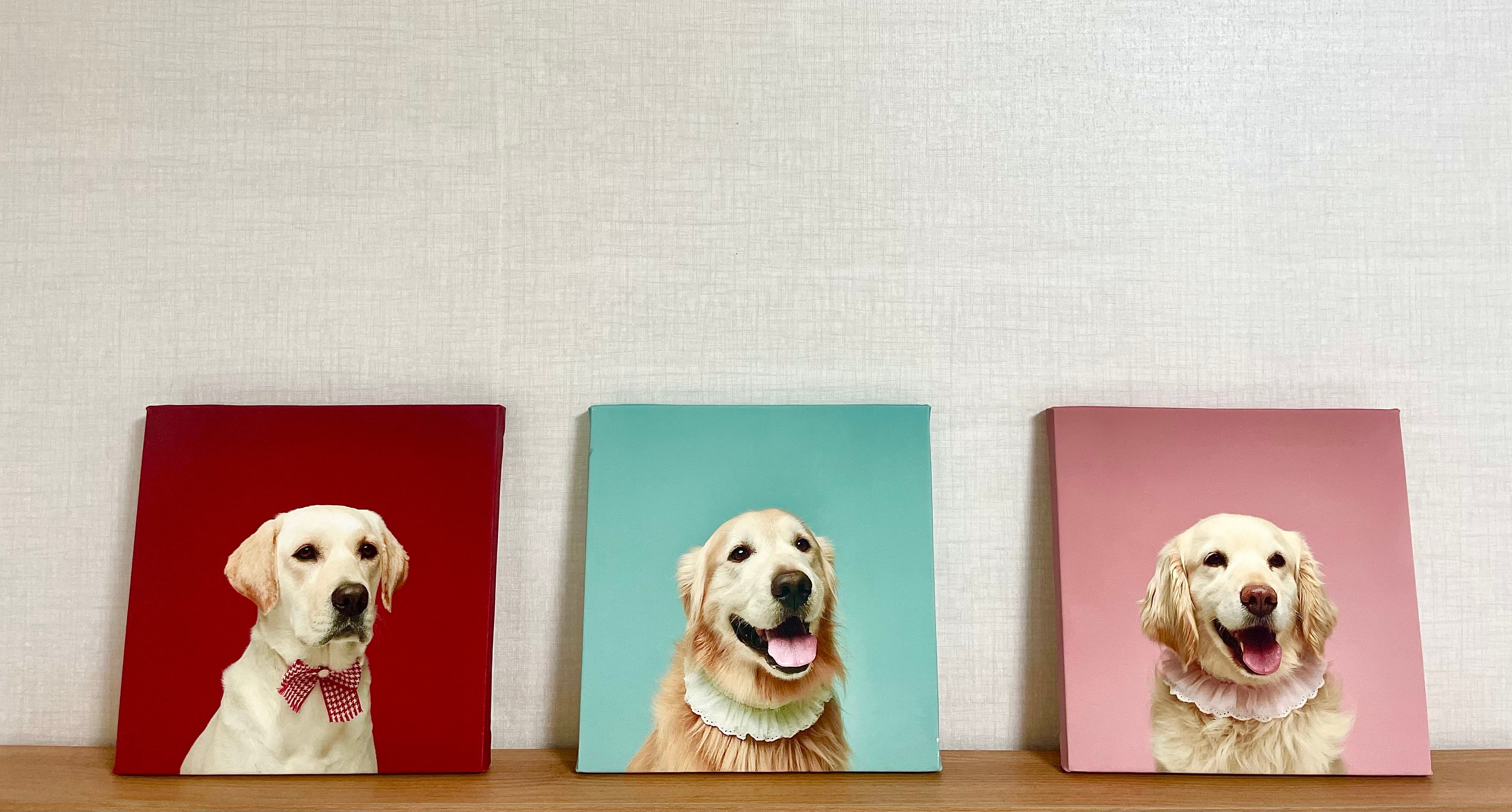 사진인화 캔버스액자 주문 제작 대형 인쇄 출력 핸드폰 결혼 가족 그림 직사각형 3호 옆면흰색