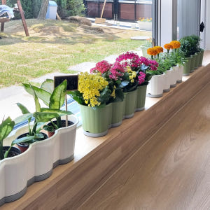 이즈리빙 [1+1] 모종화분 긴 텃밭화분 상추키우기 옥상 베란다텃밭 실사용 후기 | 효과 있을까? - 상품 이미지 4