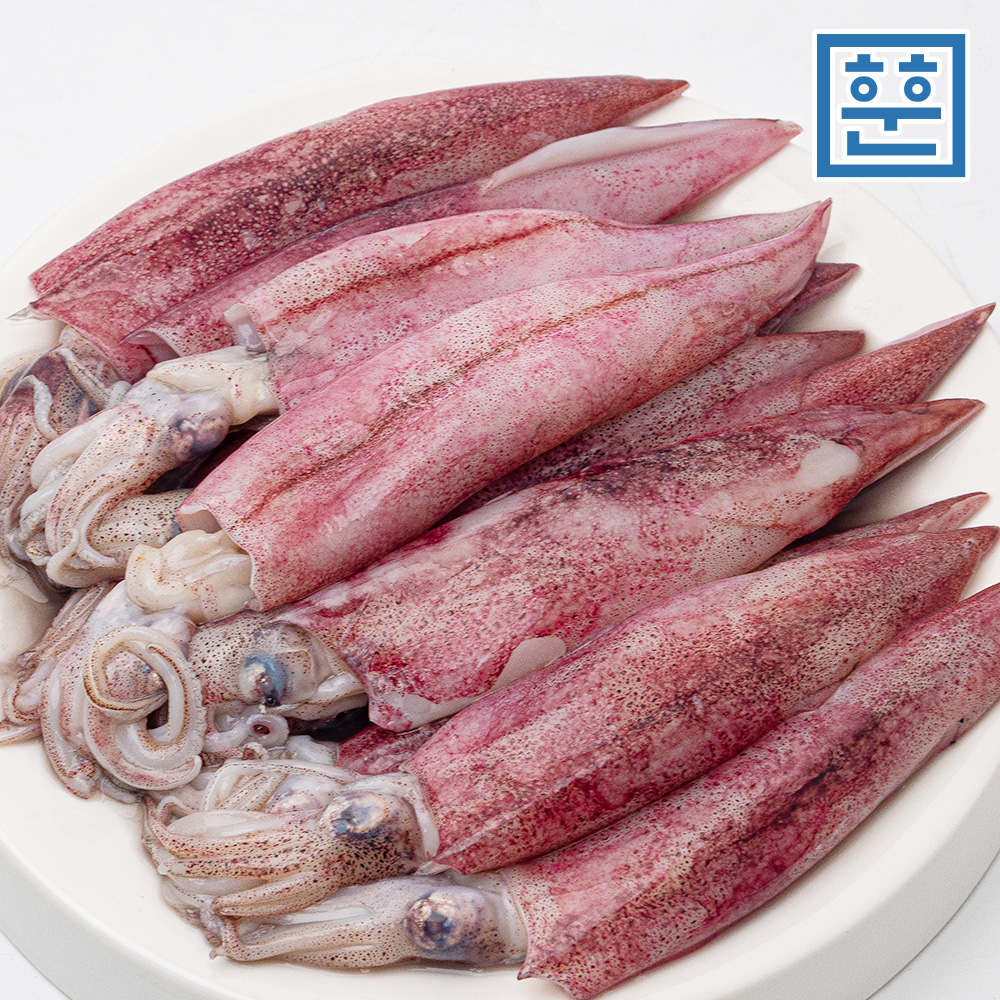 총알 한치 미니 총알한치 오징어 통찜용 이미지 4
