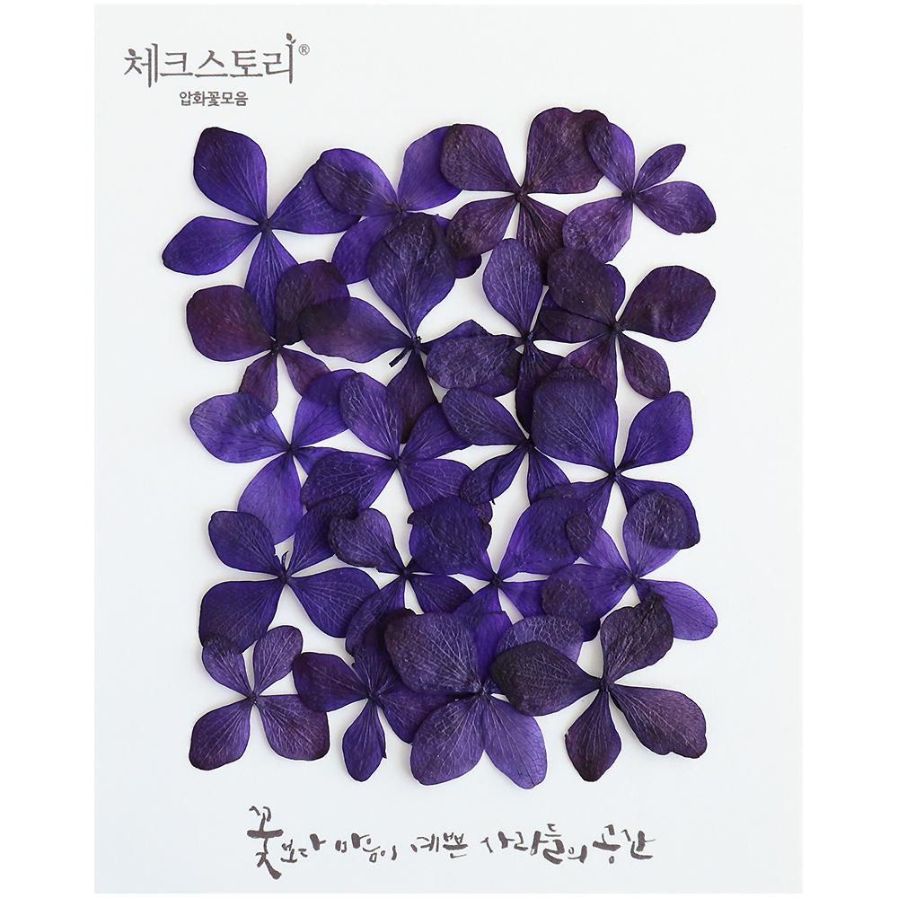 압화꽃송이 수국압화 - 퍼플B(20개) 보라색 - 상품 이미지