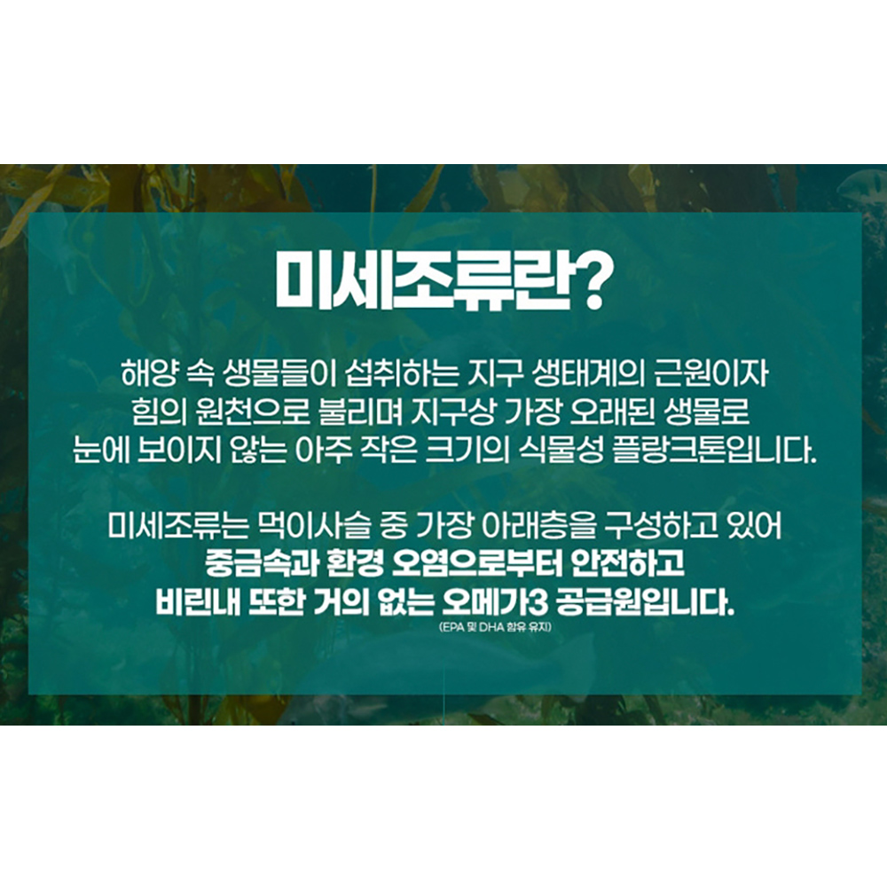 초임계 식물성 알티지 오메가3 비타민D 비타민E 1개월분 개별포장 식물성캡슐 피쉬오일 - 상세 이미지 3