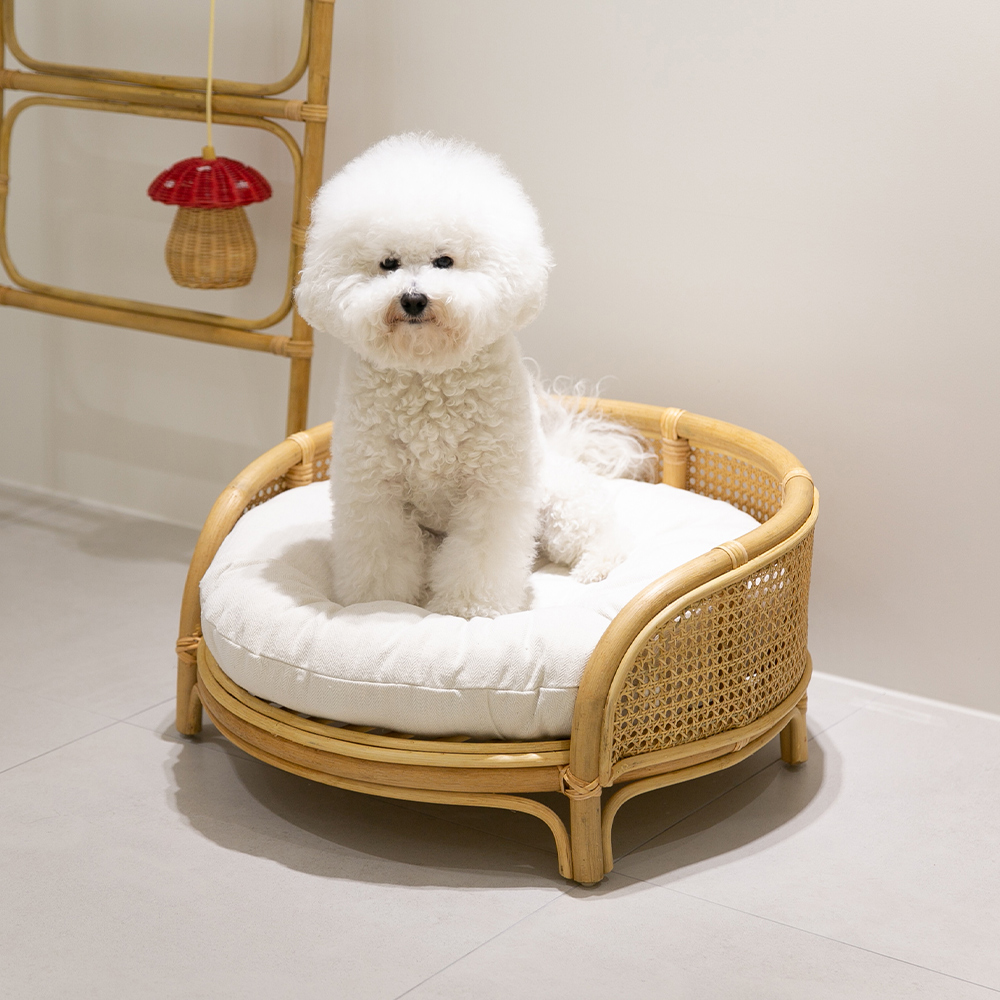 케인 강아지침대 고양이해먹 라탄 고양이 개 집 쇼파 펫베드 애견 원목침대