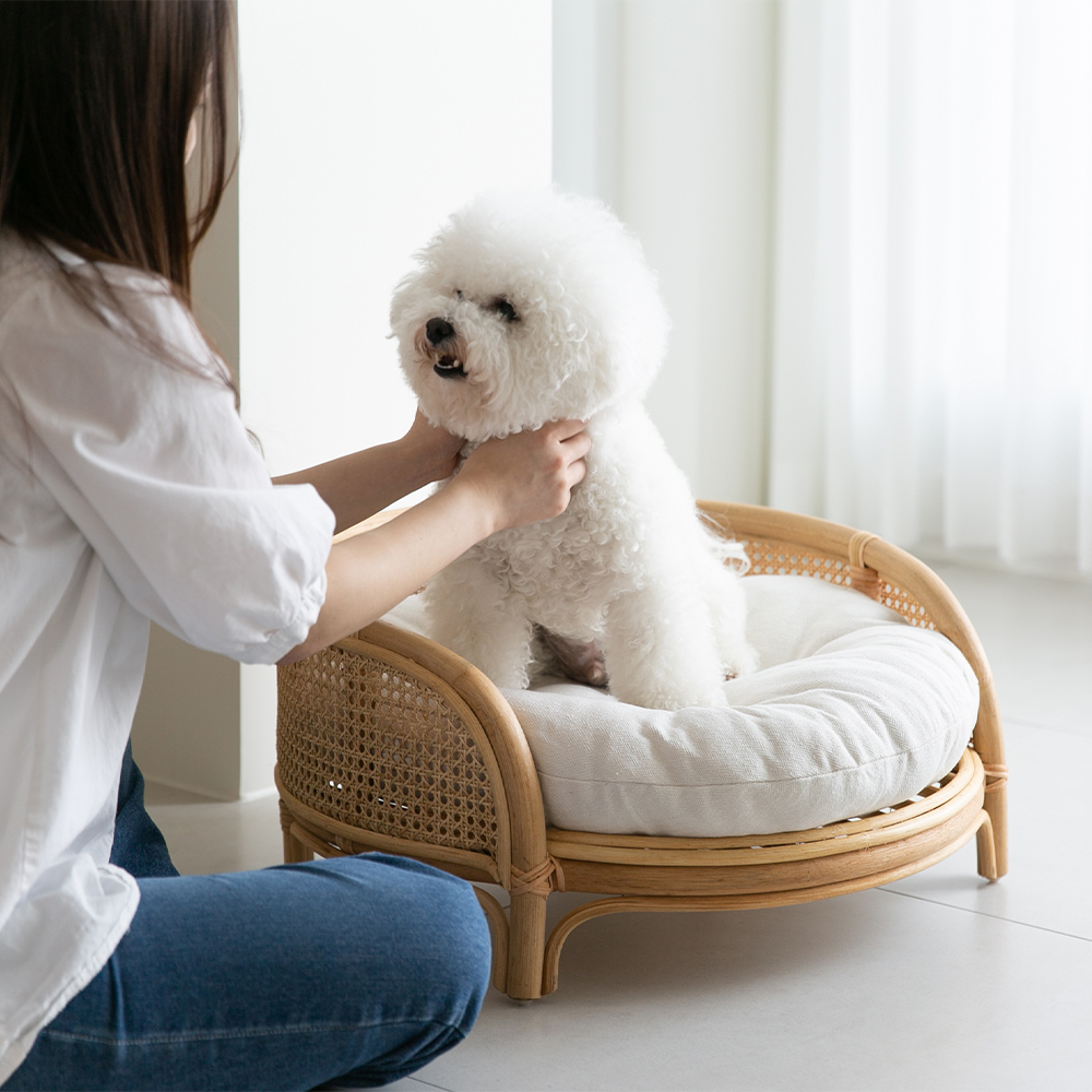 케인 강아지침대 고양이해먹 라탄 고양이 집 쇼파 펫베드 애견 원목침대
