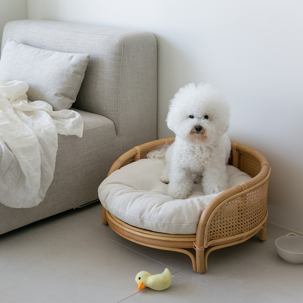 케인 강아지침대 고양이해먹 라탄 고양이 집 쇼파 펫베드 애견 원목침대