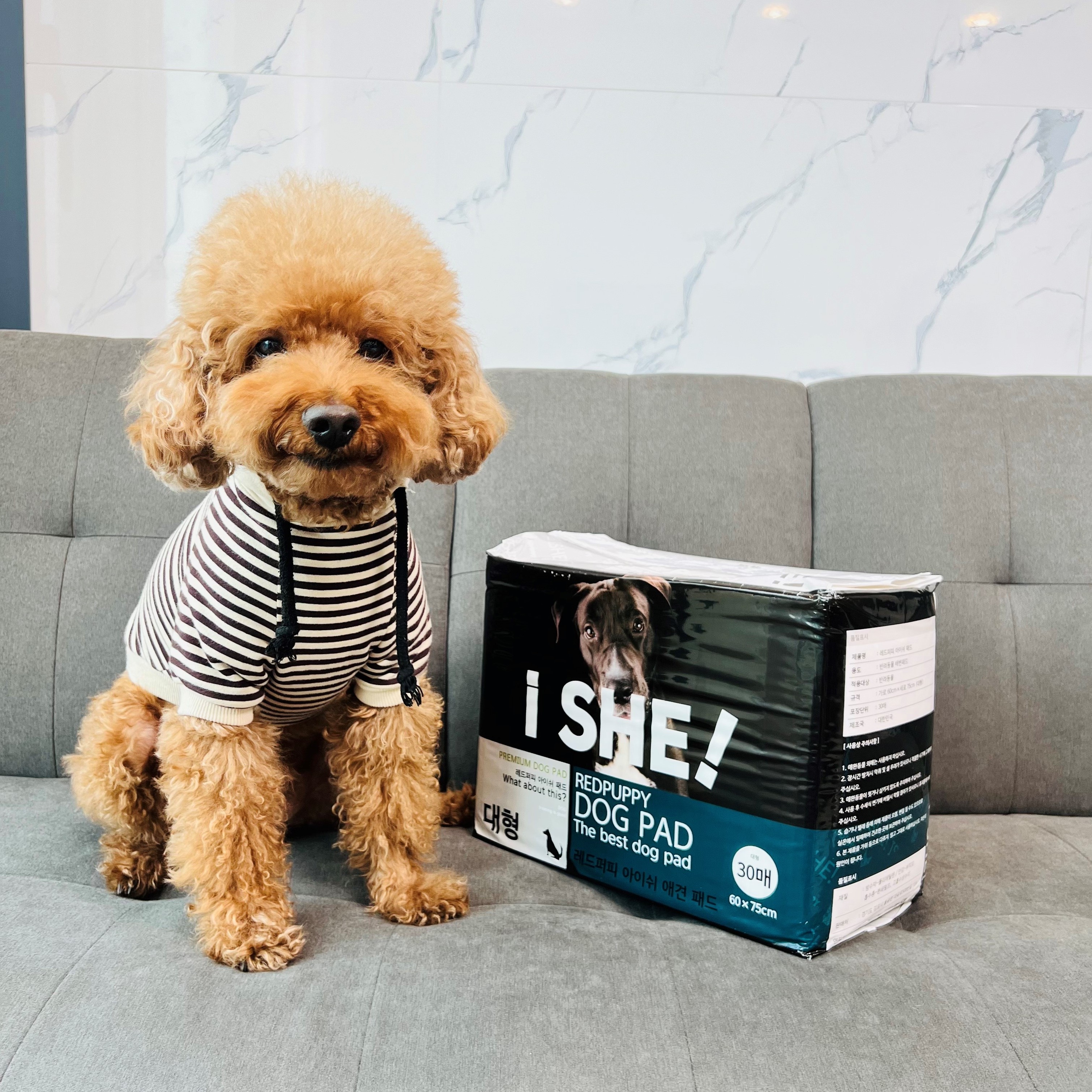 개과천선 강아지 애견 배변 패드 반려동물 중형 대형 200매 엠보싱