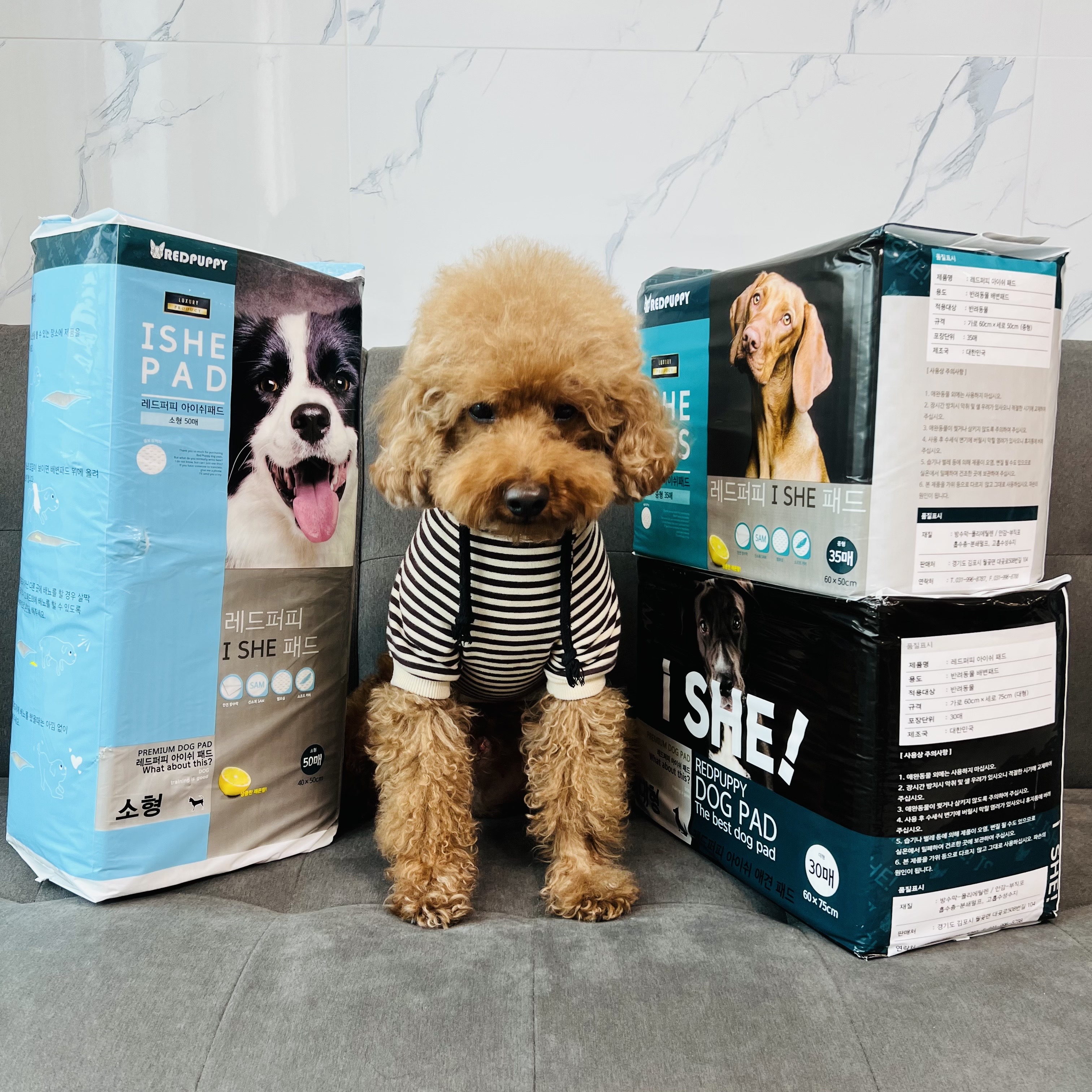 개과천선 강아지 애견 배변 패드 반려동물 중형 대형 200매 엠보싱