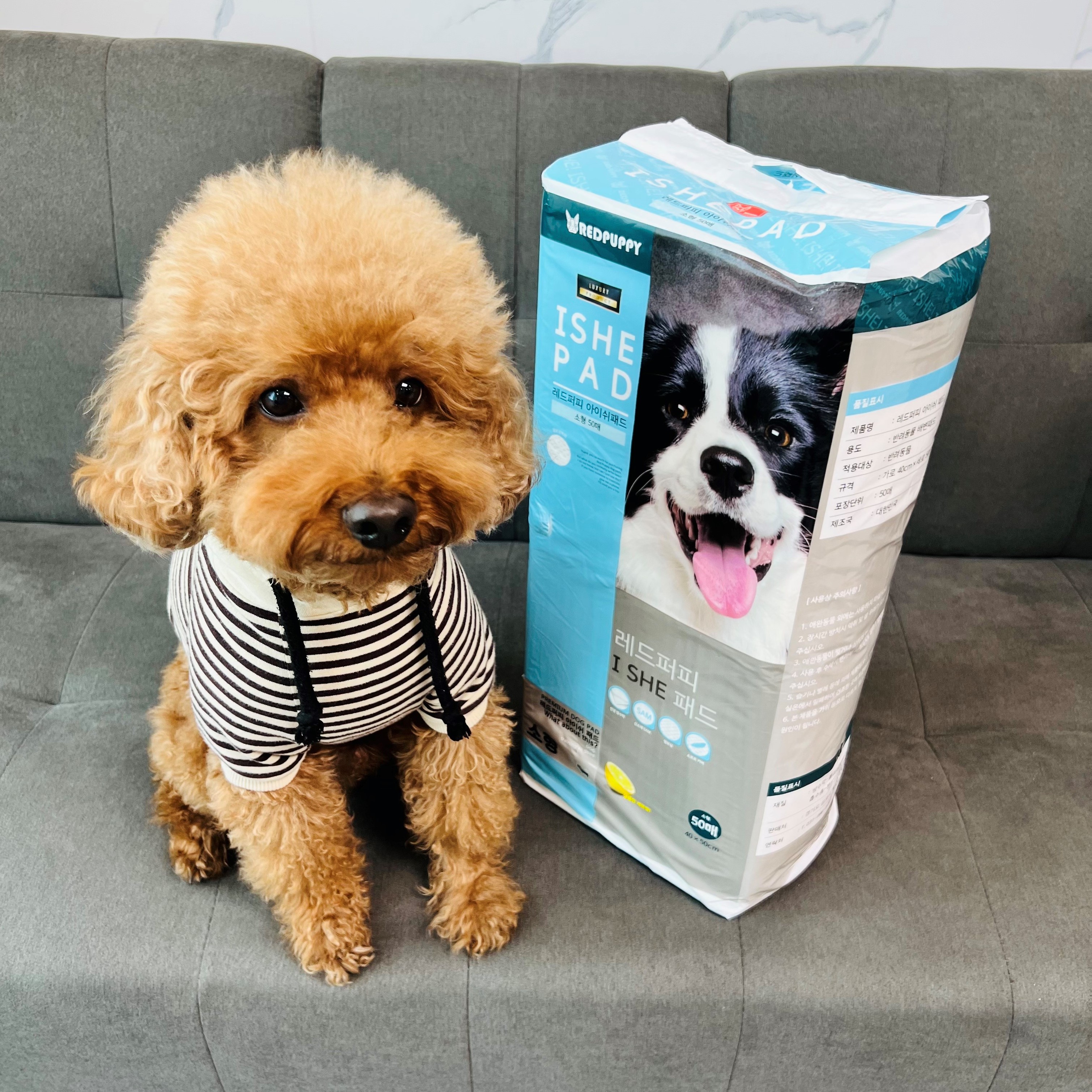 개과천선 강아지 애견 배변 패드 반려동물 중형 대형 200매 엠보싱