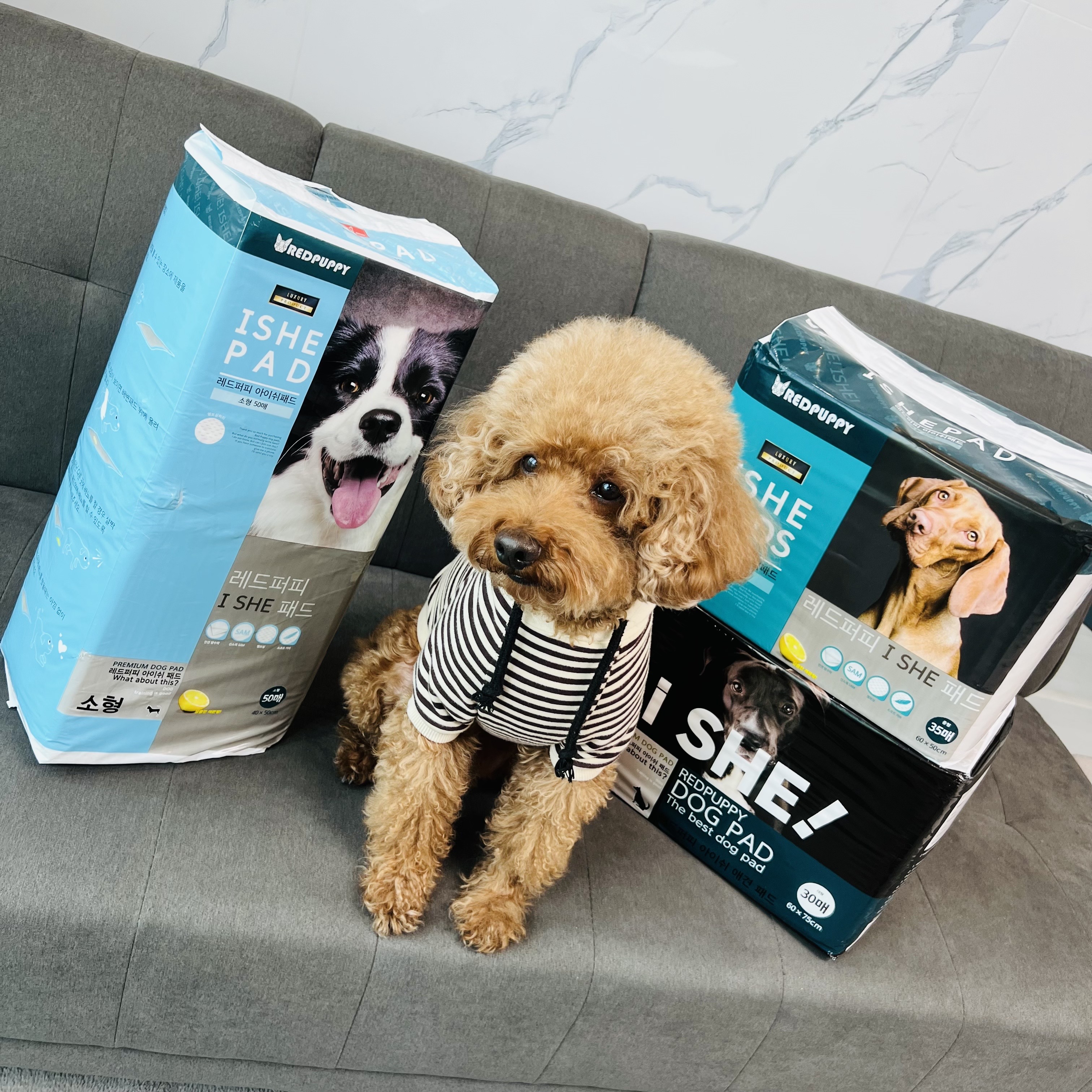 개과천선 강아지 애견 배변 패드 반려동물 중형 대형 200매 엠보싱