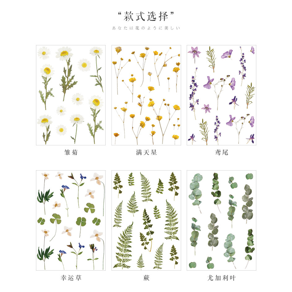 압화 꽃스티커 데코 촬영소품 6종 - 상세 이미지 2