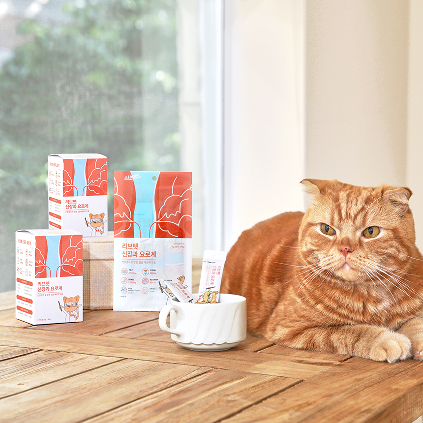 리브펫 신장과 요로계 강아지 고양이 신장 영양제 80g, 1개