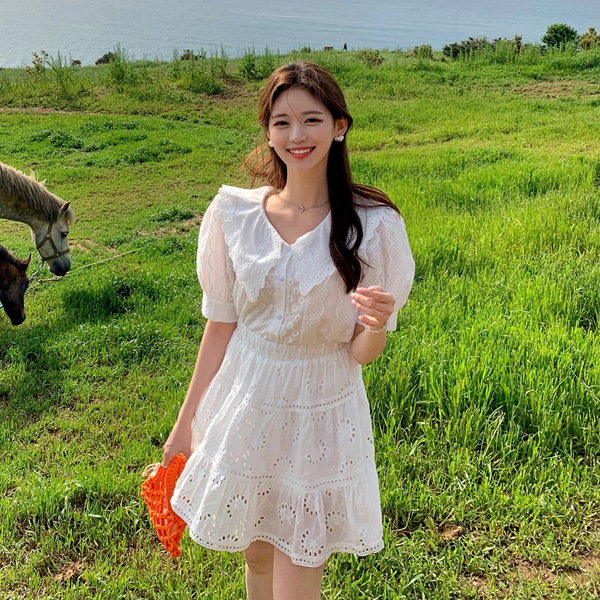 러블리 빅카라 레이스 반팔 블라우스 bs6937 - 메인 이미지