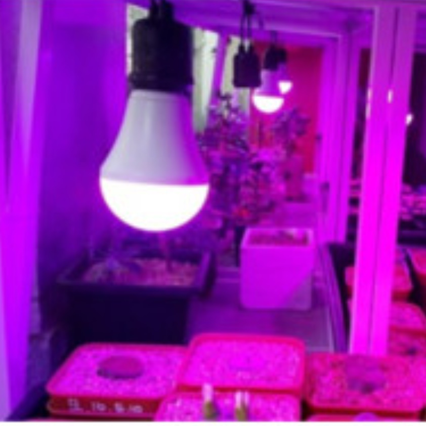 15W 성장 조명 식물용 led 식물 생장 등 농업용 led - 상품 이미지